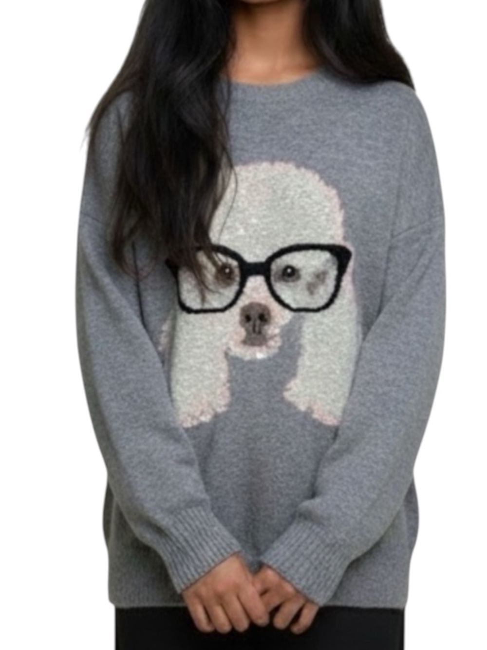 HOLLY BRACKEN Crewneck Sweater with Poodle in Glasses in Gray Size TU